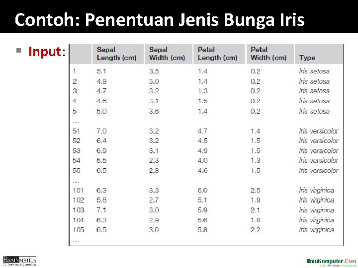 Contoh: Penentuan Jenis Bunga Iris § Input: 