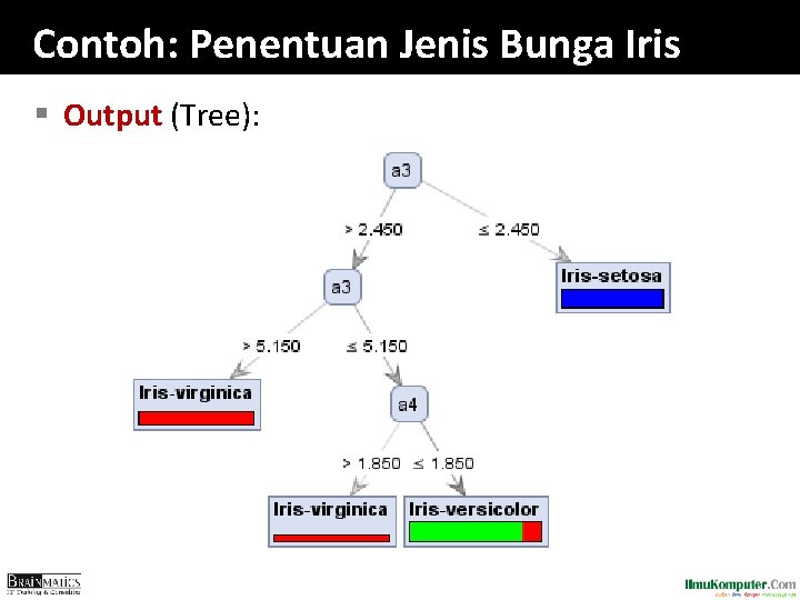 Contoh: Penentuan Jenis Bunga Iris § Output (Tree): 