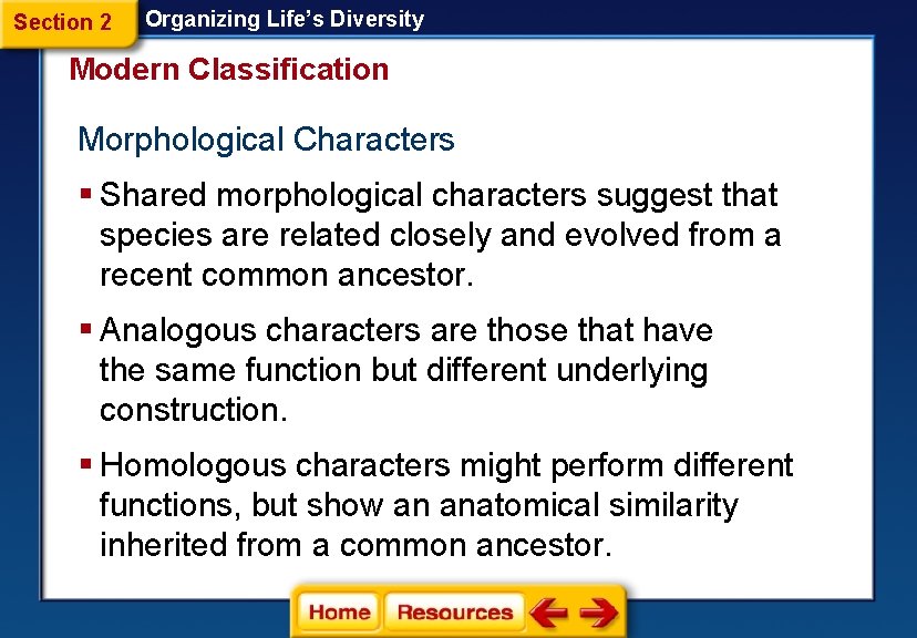 Section 2 Organizing Life’s Diversity Modern Classification Morphological Characters § Shared morphological characters suggest