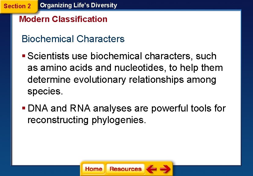 Section 2 Organizing Life’s Diversity Modern Classification Biochemical Characters § Scientists use biochemical characters,