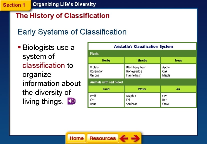 Section 1 Organizing Life’s Diversity The History of Classification Early Systems of Classification §
