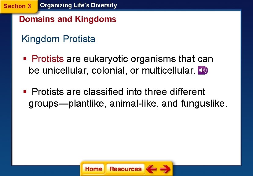 Section 3 Organizing Life’s Diversity Domains and Kingdoms Kingdom Protista § Protists are eukaryotic