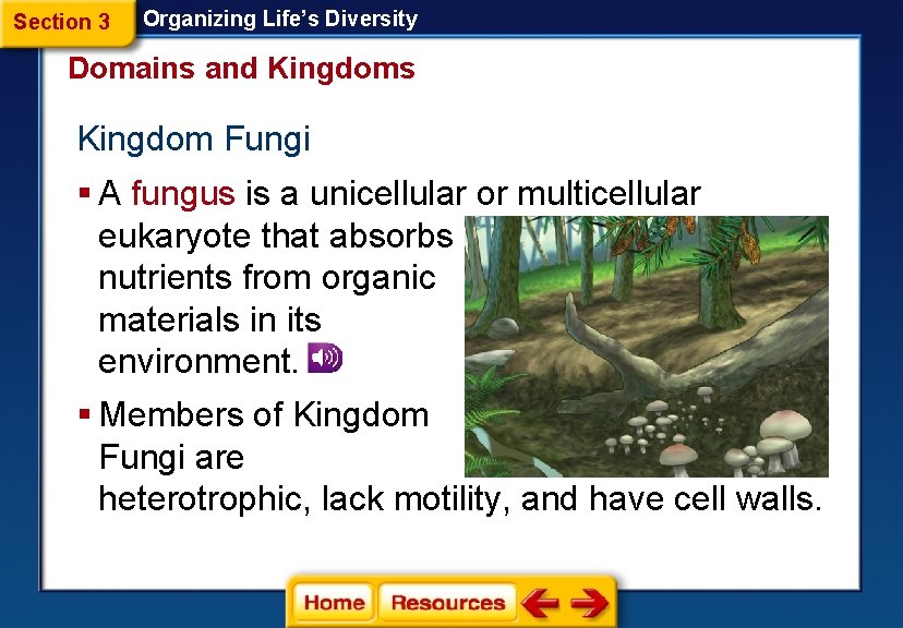 Section 3 Organizing Life’s Diversity Domains and Kingdoms Kingdom Fungi § A fungus is