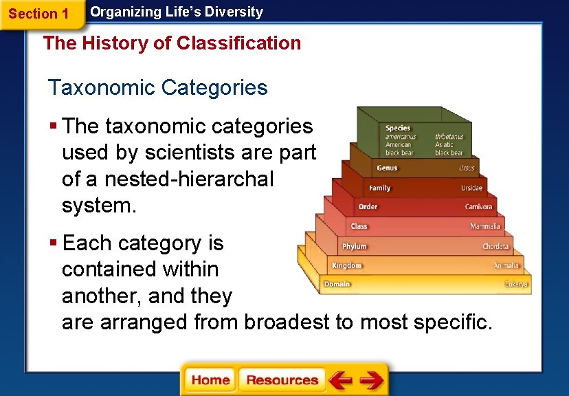 Section 1 Organizing Life’s Diversity The History of Classification Taxonomic Categories § The taxonomic