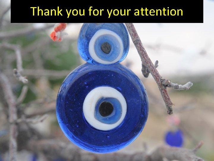 Thank you for your attention 