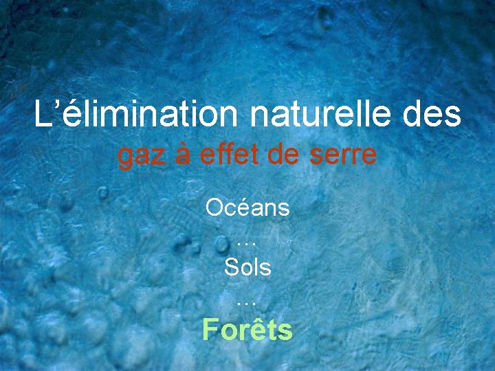 L’élimination naturelle des gaz à effet de serre Océans … Sols … Forêts 
