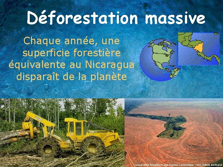 Déforestation massive Chaque année, une superficie forestière équivalente au Nicaragua disparaît de la planète