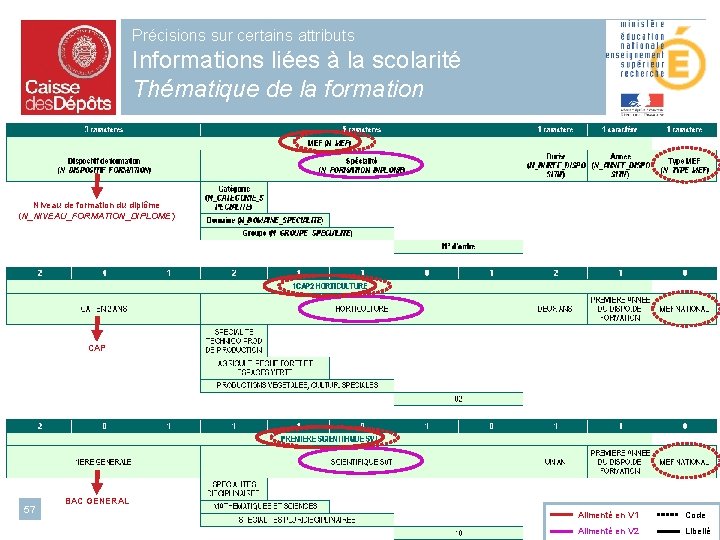 Précisions sur certains attributs Informations liées à la scolarité Thématique de la formation Niveau