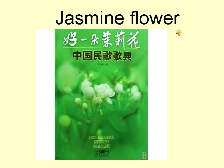 Jasmine flower 