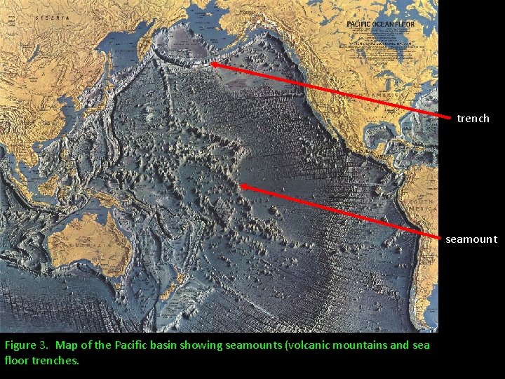trench seamount Figure 3. Map of the Pacific basin showing seamounts (volcanic mountains and