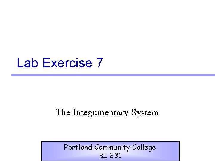 Lab Exercise 7 The Integumentary System Portland Community College BI 231 