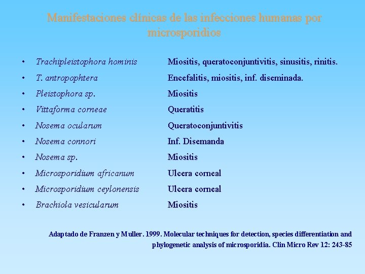 Manifestaciones clínicas de las infecciones humanas por microsporidios • Trachipleistophora hominis Miositis, queratoconjuntivitis, sinusitis,