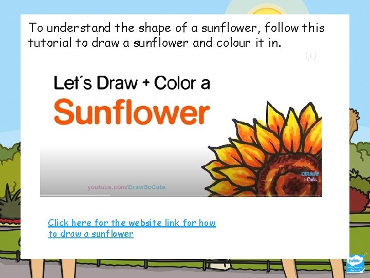To understand the shape of a sunflower, follow this tutorial to draw a sunflower