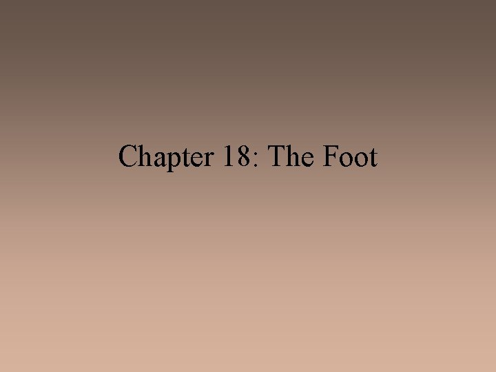 Chapter 18: The Foot 