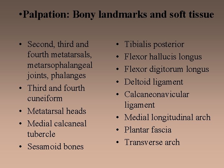  • Palpation: Bony landmarks and soft tissue • Second, third and fourth metatarsals,