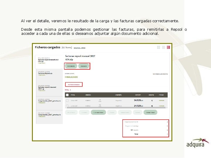 Al ver el detalle, veremos le resultado de la carga y las facturas cargadas