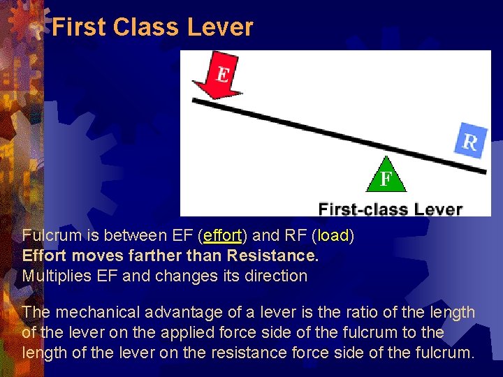 First Class Lever Fulcrum is between EF (effort) and RF (load) Effort moves farther