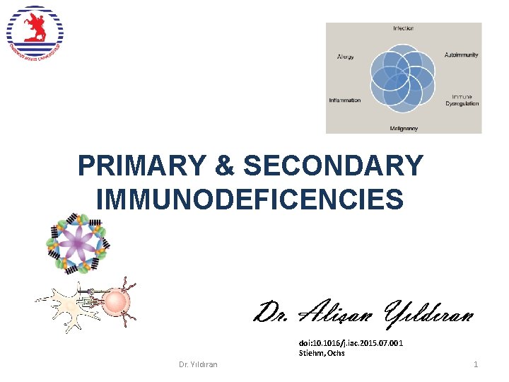 PRIMARY & SECONDARY IMMUNODEFICENCIES doi: 10. 1016/j. iac. 2015. 07. 001 Stiehm, Ochs Dr.