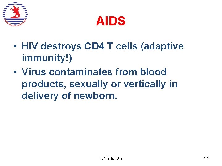 AIDS • HIV destroys CD 4 T cells (adaptive immunity!) • Virus contaminates from