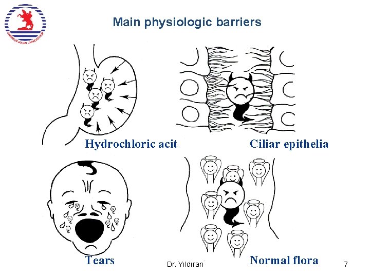 Main physiologic barriers Hydrochloric acit Ciliar epithelia Tears Normal flora Dr. Yıldıran 7 Main physiologic barriers Hydrochloric acit Ciliar epithelia Tears Normal flora Dr. Yıldıran 7