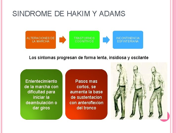 SINDROME DE HAKIM Y ADAMS ALTERACIONES DE LA MARCHA TRASTORNOS COGNITIVOS INCONTINENCIA ESFINTERIANA Los