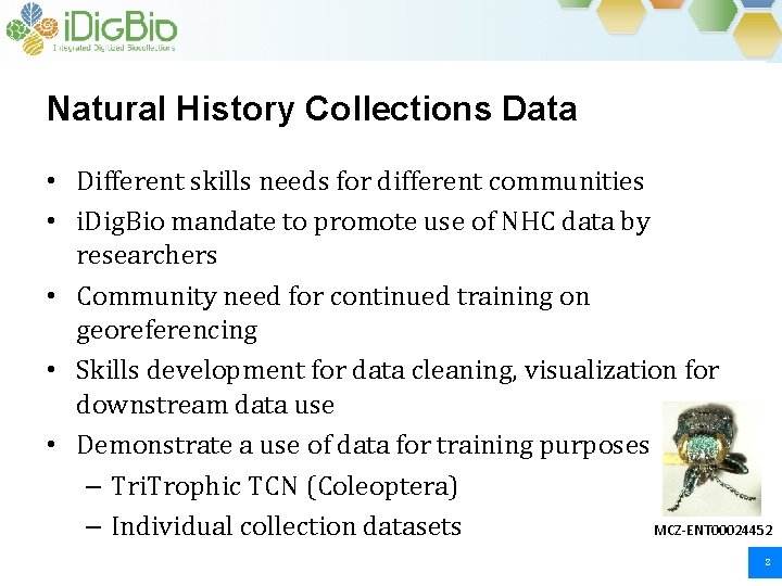 Natural History Collections Data • Different skills needs for different communities • i. Dig. Natural History Collections Data • Different skills needs for different communities • i. Dig.
