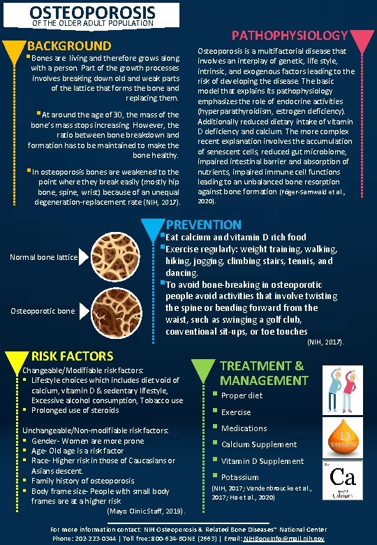 OSTEOPOROSIS OF THE OLDER ADULT POPULATION PATHOPHYSIOLOGY BACKGROUND