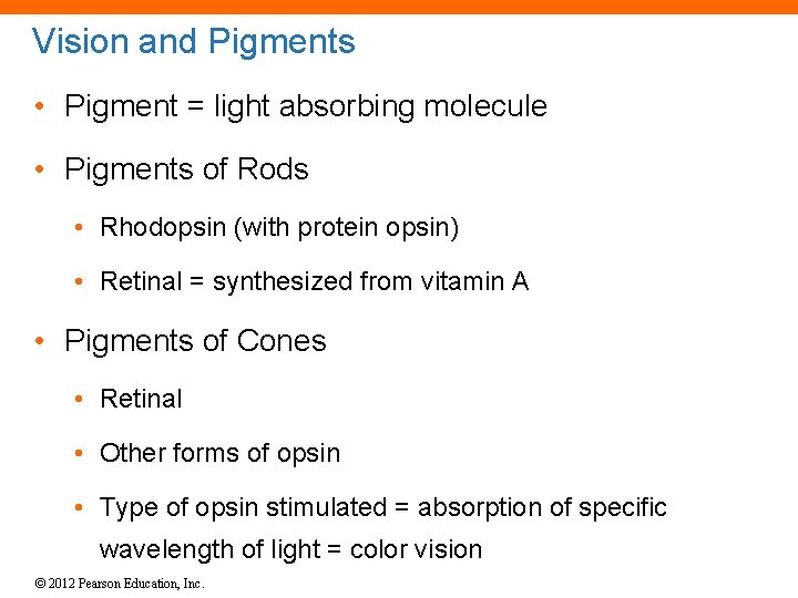 Vision and Pigments • Pigment = light absorbing molecule • Pigments of Rods • Vision and Pigments • Pigment = light absorbing molecule • Pigments of Rods •