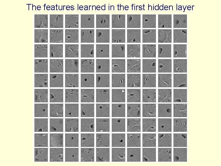 The features learned in the first hidden layer 