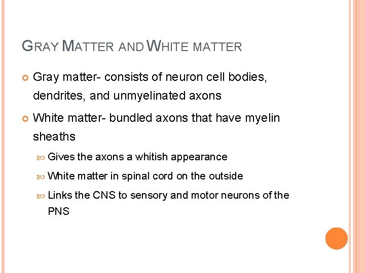 GRAY MATTER AND WHITE MATTER Gray matter- consists of neuron cell bodies, dendrites, and