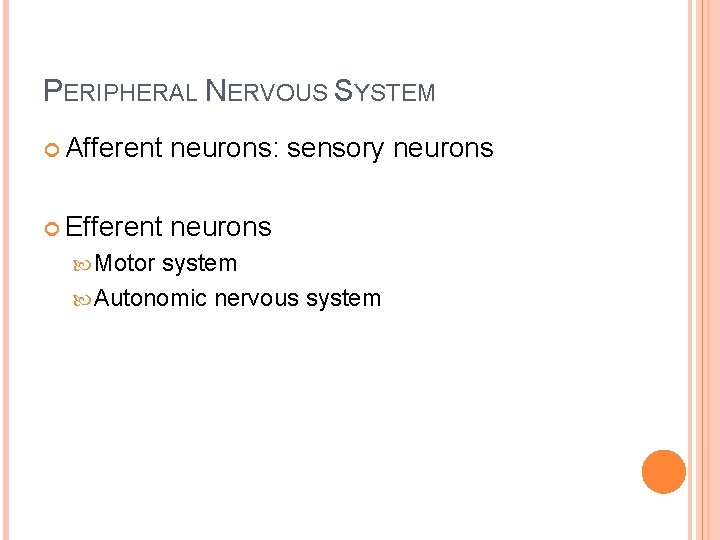 PERIPHERAL NERVOUS SYSTEM Afferent neurons: sensory neurons Efferent neurons Motor system Autonomic nervous system