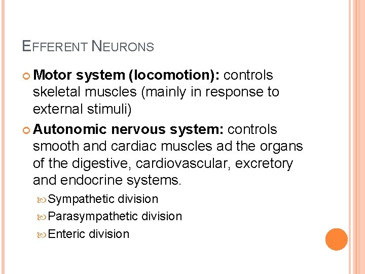 EFFERENT NEURONS Motor system (locomotion): controls skeletal muscles (mainly in response to external stimuli)