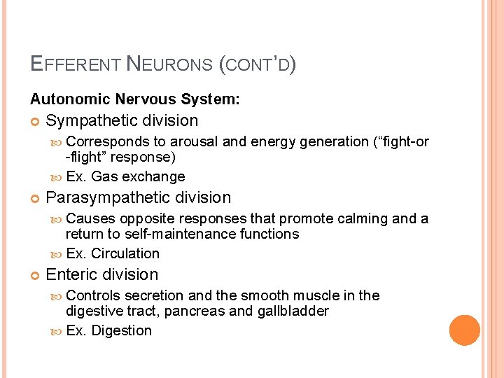 EFFERENT NEURONS (CONT’D) Autonomic Nervous System: Sympathetic division Corresponds to arousal and energy generation