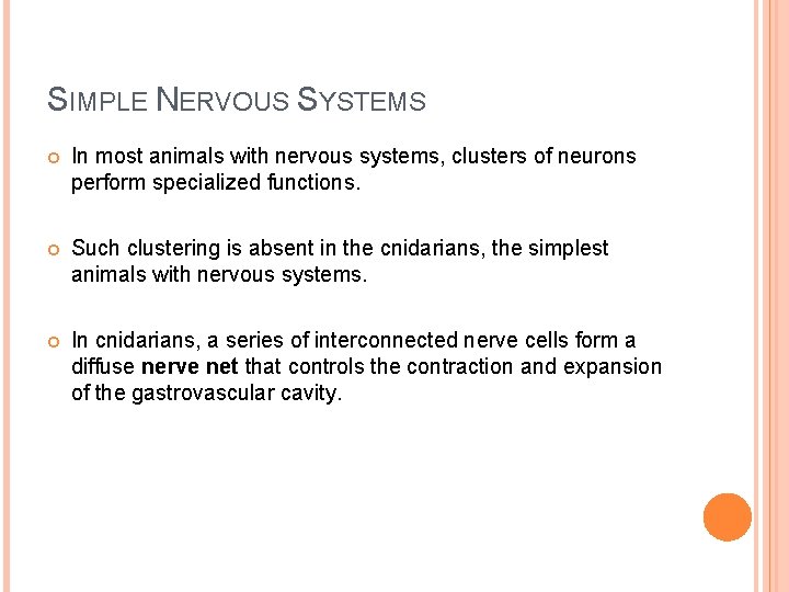 SIMPLE NERVOUS SYSTEMS In most animals with nervous systems, clusters of neurons perform specialized