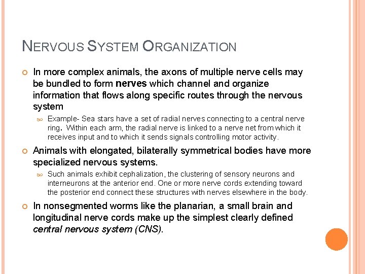 NERVOUS SYSTEM ORGANIZATION In more complex animals, the axons of multiple nerve cells may