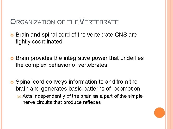 ORGANIZATION OF THE VERTEBRATE Brain and spinal cord of the vertebrate CNS are tightly