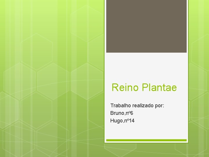 Reino Plantae Trabalho realizado por: Bruno, nº 6 Hugo, nº 14 