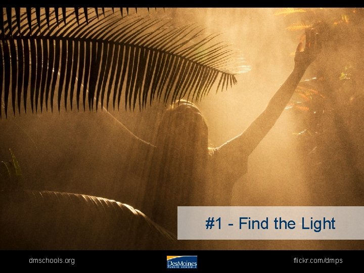 #1 - Find the Light dmschools. org flickr. com/dmps 
