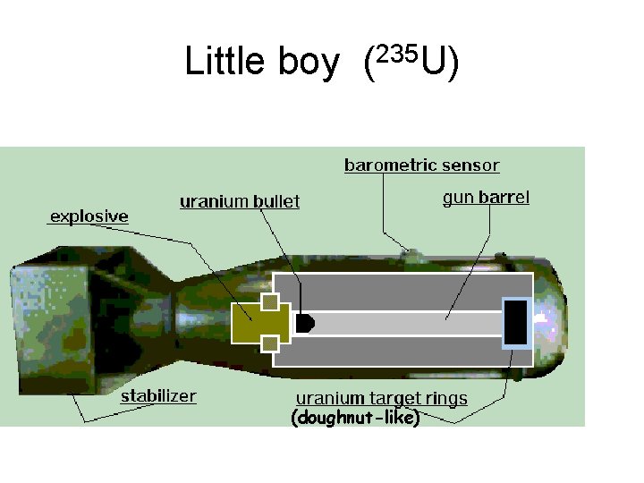 Little boy (235 U) (doughnut-like) 