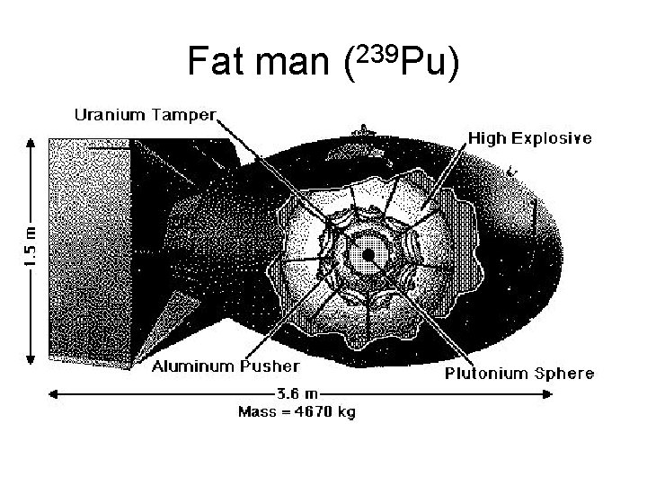 Fat man (239 Pu) 