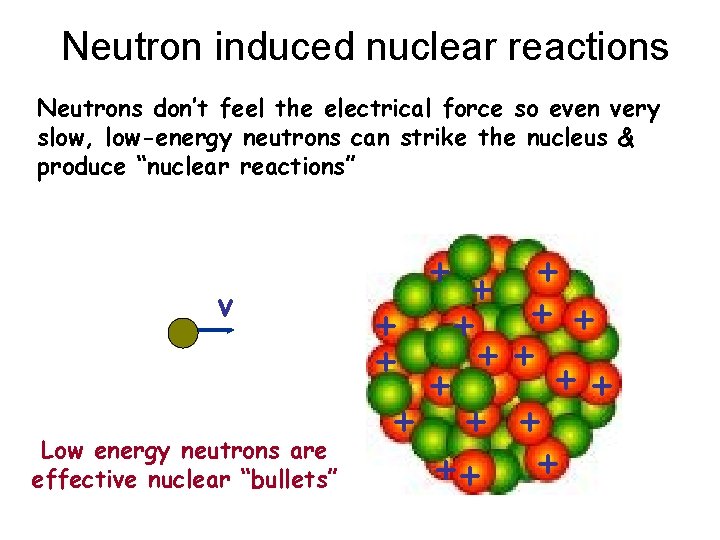 Neutron induced nuclear reactions Neutrons don’t feel the electrical force so even very slow,