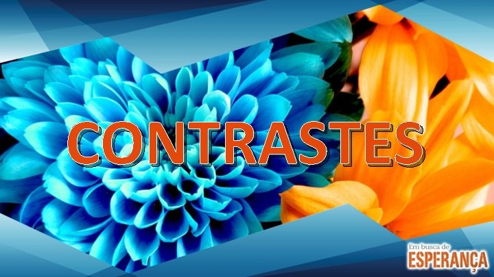 CONTRASTES 