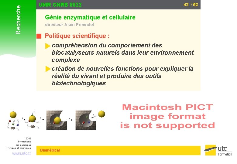 Recherche UMR CNRS 6022 43 / 52 Génie enzymatique et cellulaire directeur Alain Friboulet