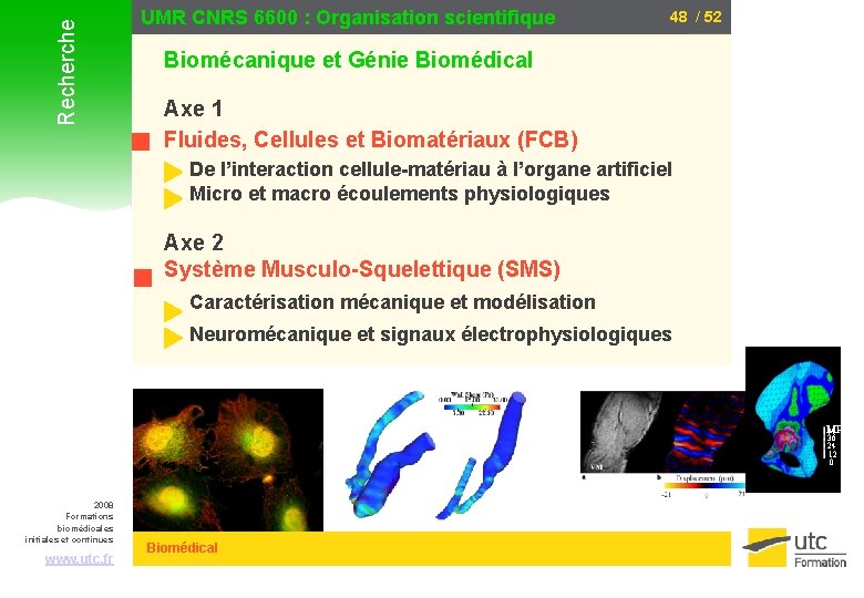 Recherche UMR CNRS 6600 : Organisation scientifique 48 / 52 Biomécanique et Génie Biomédical