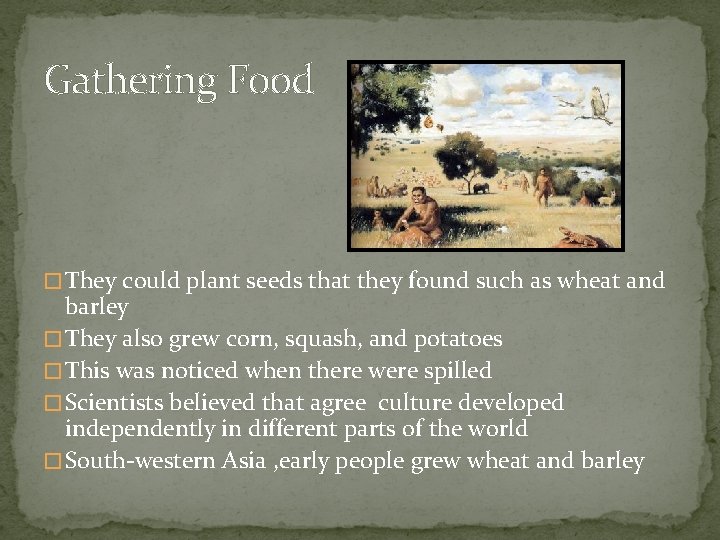 Gathering Food � They could plant seeds that they found such as wheat and