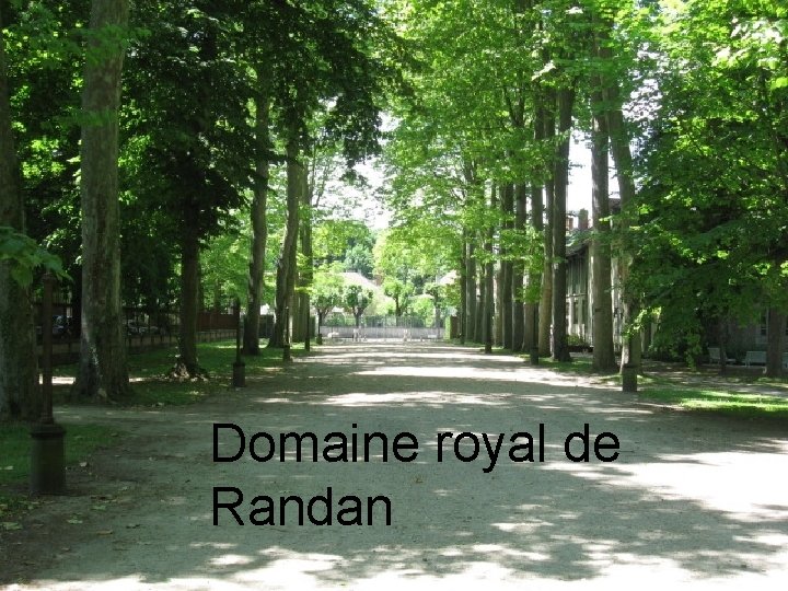 Domaine royal de Randan 