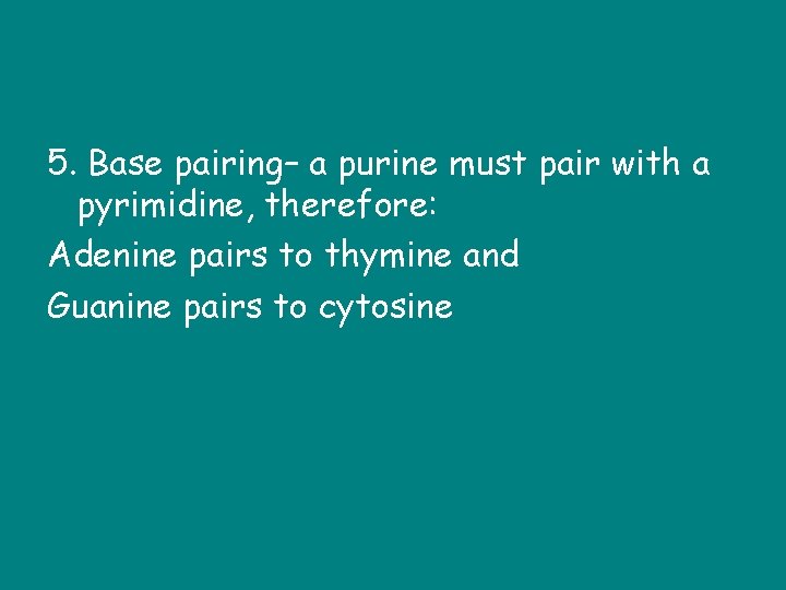 5. Base pairing– a purine must pair with a pyrimidine, therefore: Adenine pairs to