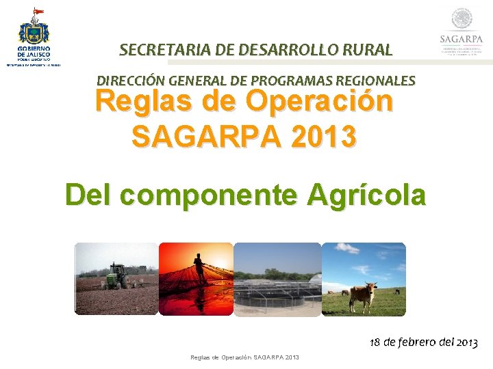 SECRETARIA DE DESARROLLO RURAL DIRECCIÓN GENERAL DE PROGRAMAS REGIONALES Reglas de Operación SAGARPA 2013