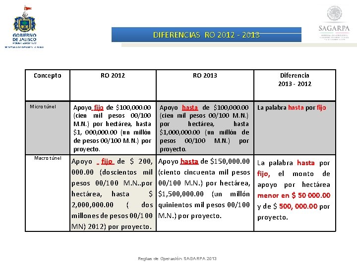 DIFERENCIAS RO 2012 - 2013 Concepto Micro túnel Macro túnel RO 2012 RO 2013