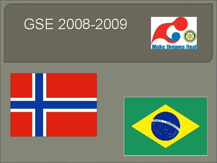 GSE 2008 -2009 